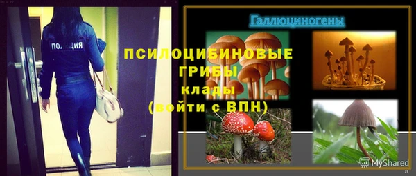 первитин Абинск