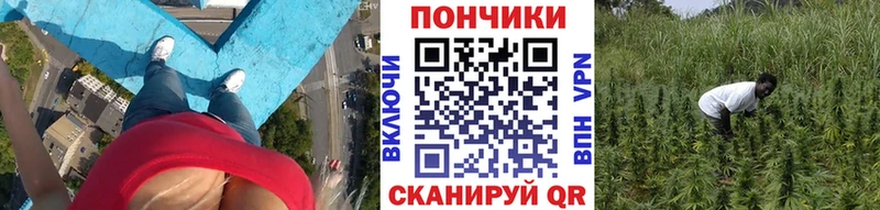 Бошки Шишки LSD WEED купить цена MEGA сайт Бугуруслан